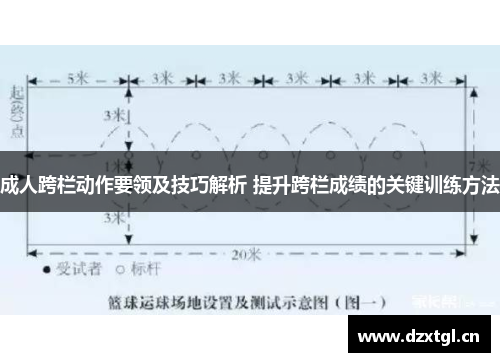 成人跨栏动作要领及技巧解析 提升跨栏成绩的关键训练方法