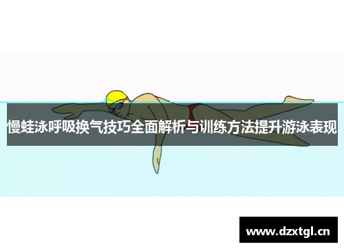 慢蛙泳呼吸换气技巧全面解析与训练方法提升游泳表现