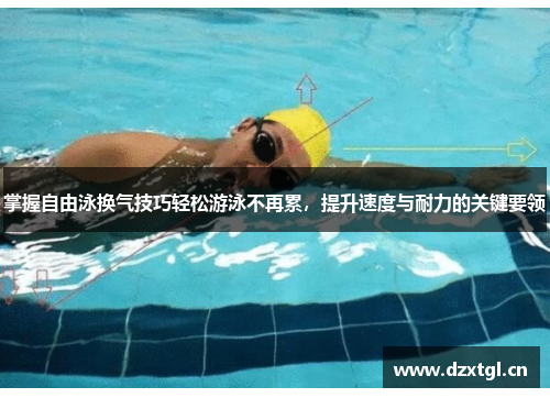 掌握自由泳换气技巧轻松游泳不再累，提升速度与耐力的关键要领