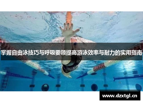 掌握自由泳技巧与呼吸要领提高游泳效率与耐力的实用指南